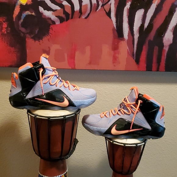 Lebrons - Picture 4 of 6